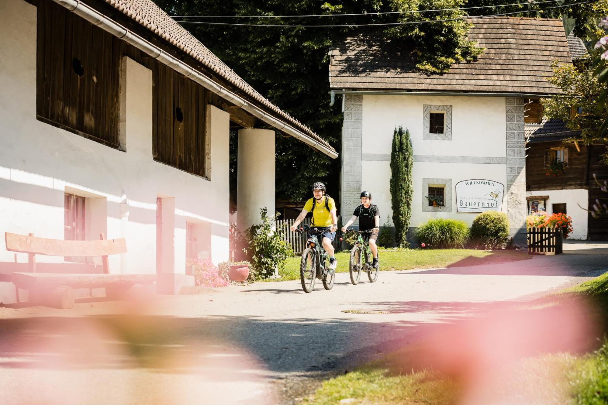 Familienbauernhof Glawischnig-Hofer Gmund in Karnten Exterior foto